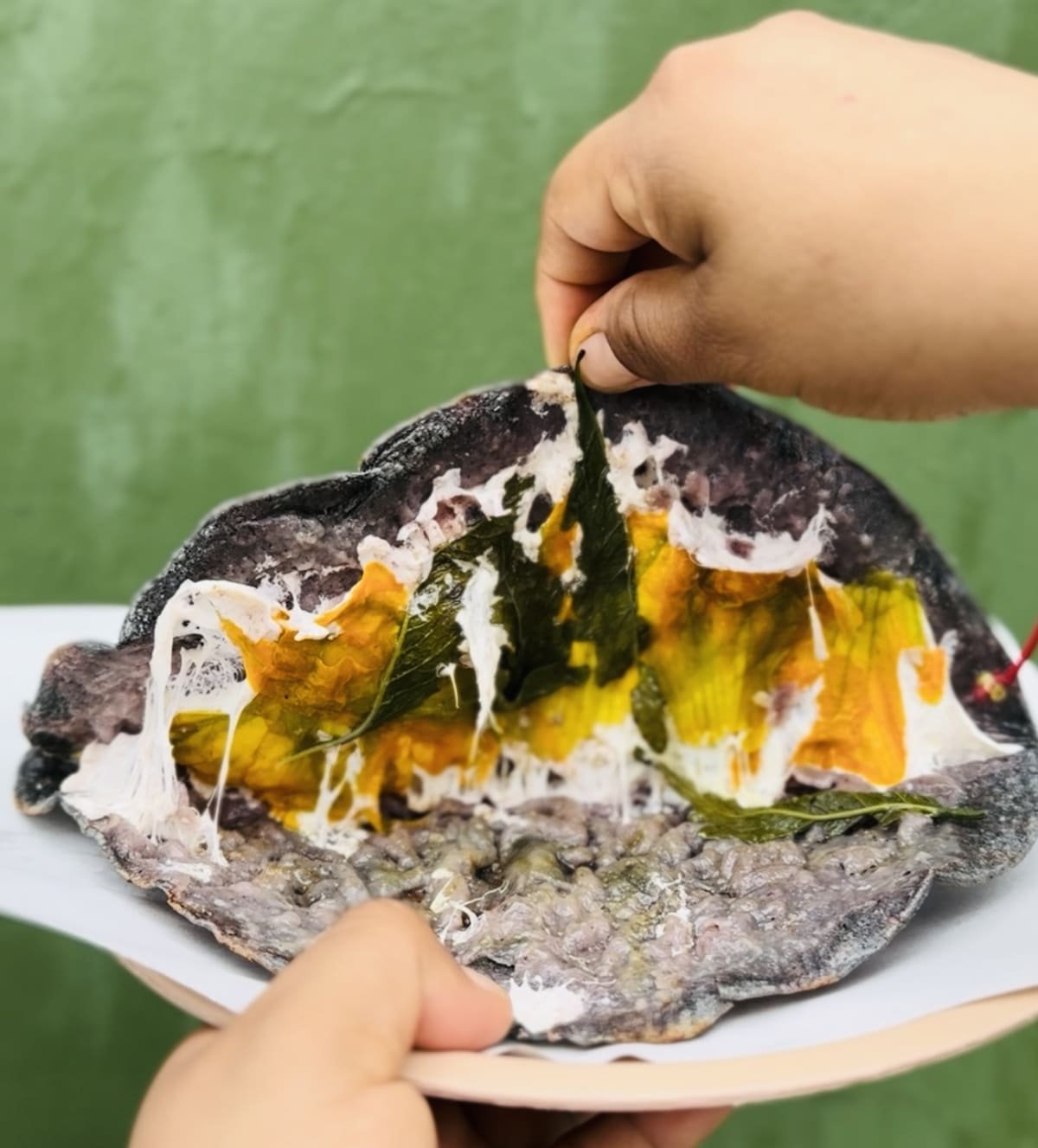 Comida de Mercado Oaxaca